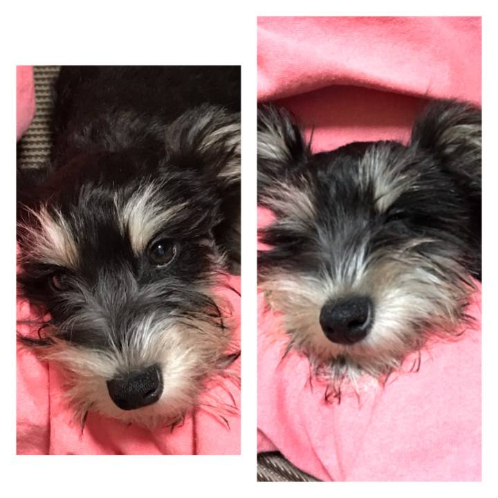 Ccf7f654 7853 4fc3 b483 542b74866941 1550325429858