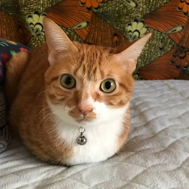 Ccf83a9e f54d 41b9 9d01 88b60defa685 1538147646346