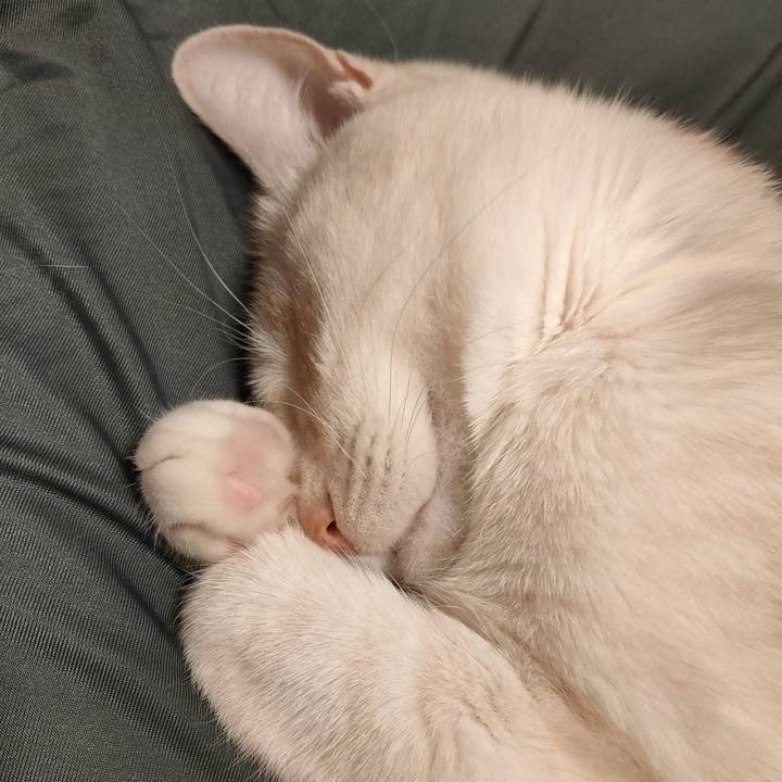 Ccf8a2be 35a6 4c98 ae23 7b379442a33b 1680684718581