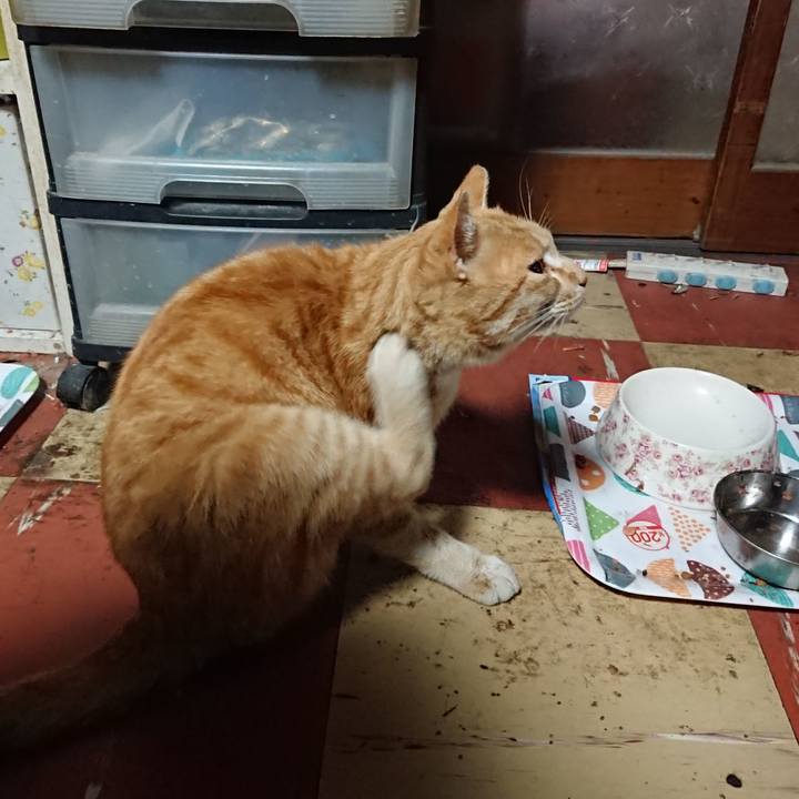 Ccf8a8de 983f 46b4 bcbf d910bbfff4ae 1589576281276