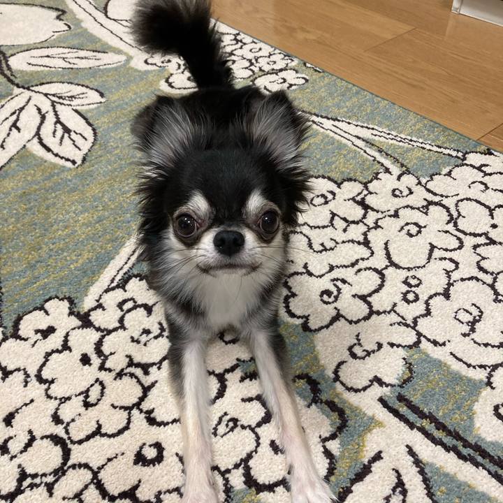 Ccf9183a e5f1 4deb a929 da40d5b5e2f8 1631336321422