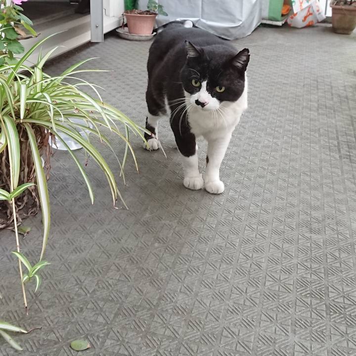 Ccf988bf 58d9 4dc9 b485 2d90a1a75540 1589241551578