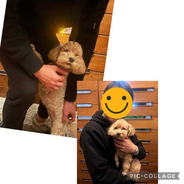 Ccf98e43 be4a 4b53 a40d 4378fe42e5b6 1701195398333