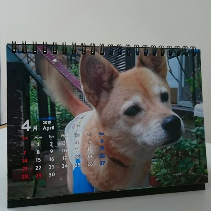 Ccf9df78 7679 437e 9cbf 749e3dd9be54 1555505807559