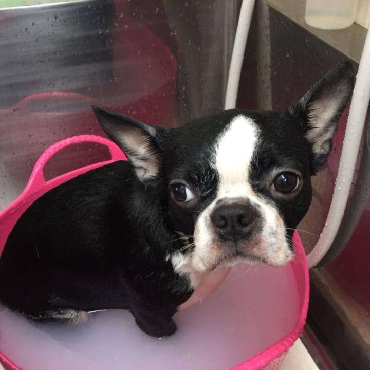 Ccfa4bc1 bc0d 4e58 8ba9 ed50a2bac308 1510277833810