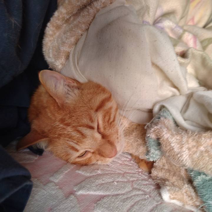 Ccfa5397 6108 438a a08a b3926e84c912 1684963228560