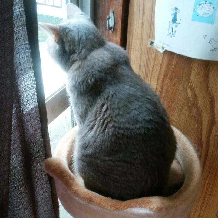 Ccfa6634 d1af 4950 8ffd 548b72016235 1563077081105