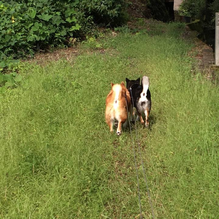 Ccfa8441 791c 44cb 8d0f e2df9c1dc602 1631337129665