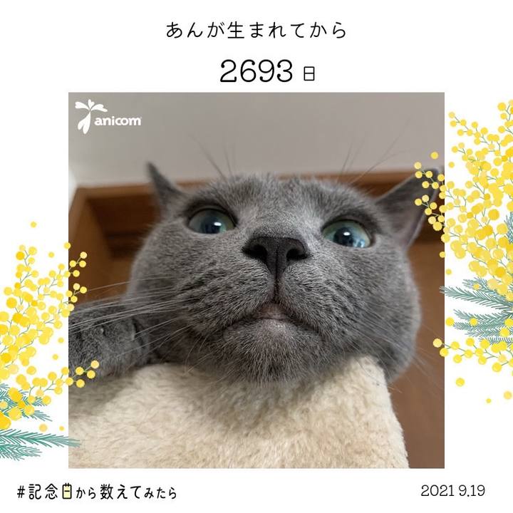 Ccfa88af 84b4 4ded 9f90 4761dc587c5b 1632021978952