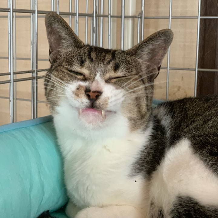 Ccfab95a 5169 4d40 911f d2a86de99309 1560990493185