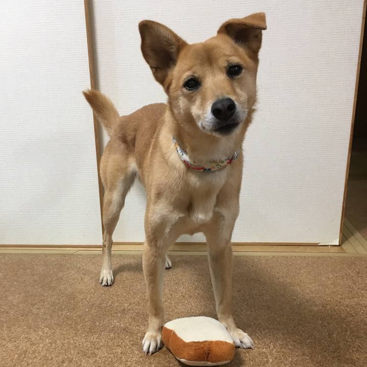 Ccfabc0e a1cd 4205 a9aa 1c72beb680c0 1546790811960