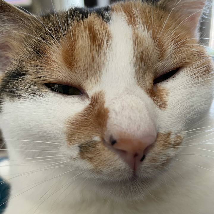 Ccfac50e a1b2 4d11 959d b982ea789445 1619396677745