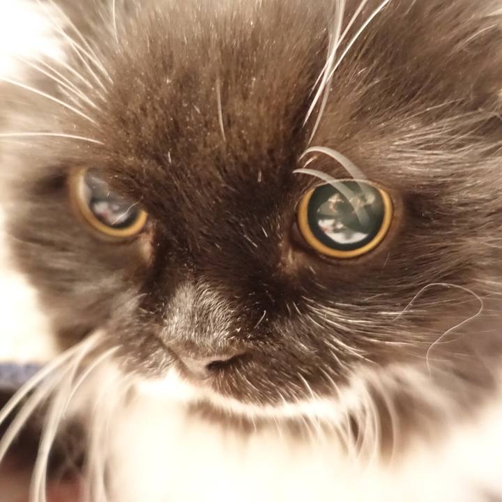 Ccfafdce 6742 44a3 84eb 05dfa8c1e318 1531673788871