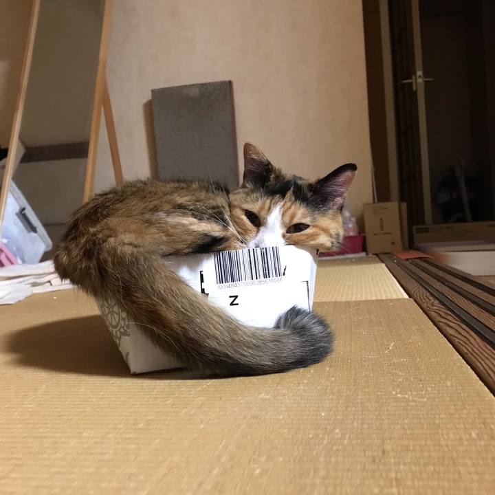 Ccfb1dda 8f2b 4b6b a308 e6fc85d5ac59 1562076394475