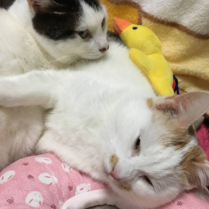 Ccfb4ee9 9283 4889 a92f 0e9690974d23 1549116902717