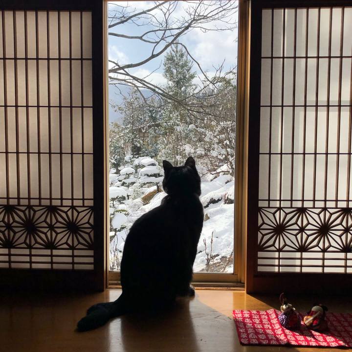 Ccfb7eb3 e6e7 4cb1 9f67 1944028111c0 1546399531797