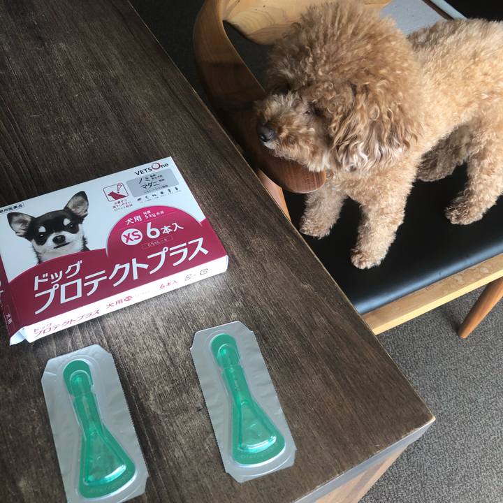 Ccfb81fa 9a0b 402a 956f 4b54b9a9c14b 1602216960414