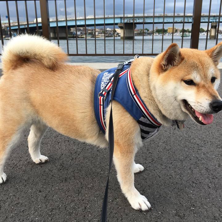 Ccfb901a b333 4751 95a6 8b9d9345e6ac 1539320818341