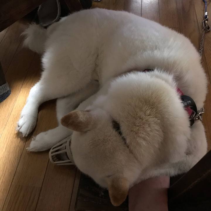 Ccfb923d 472d 44ad 92dc 3f711a6edde9 1551349744923