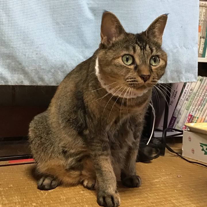 Ccfba4a4 d4bb 4627 acfe 2d1ee856bd30 1756198269989