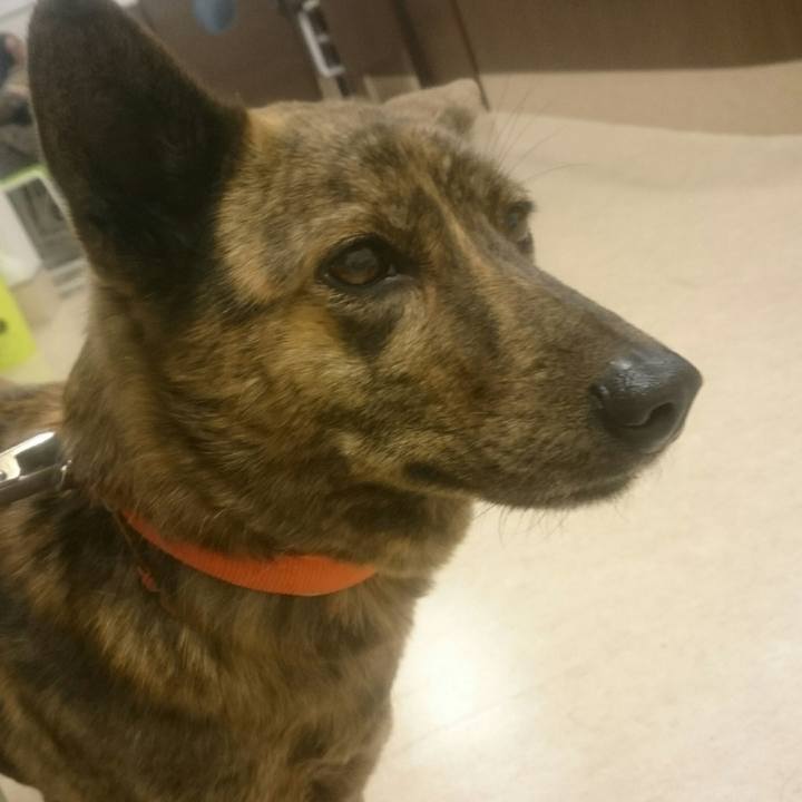 Ccfbcb2c 1509 449b b6fc b22db67714f9 1519479462892