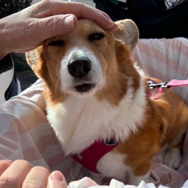 Ccfbce38 97b2 4a70 801b a161952c9d15 1735103699270