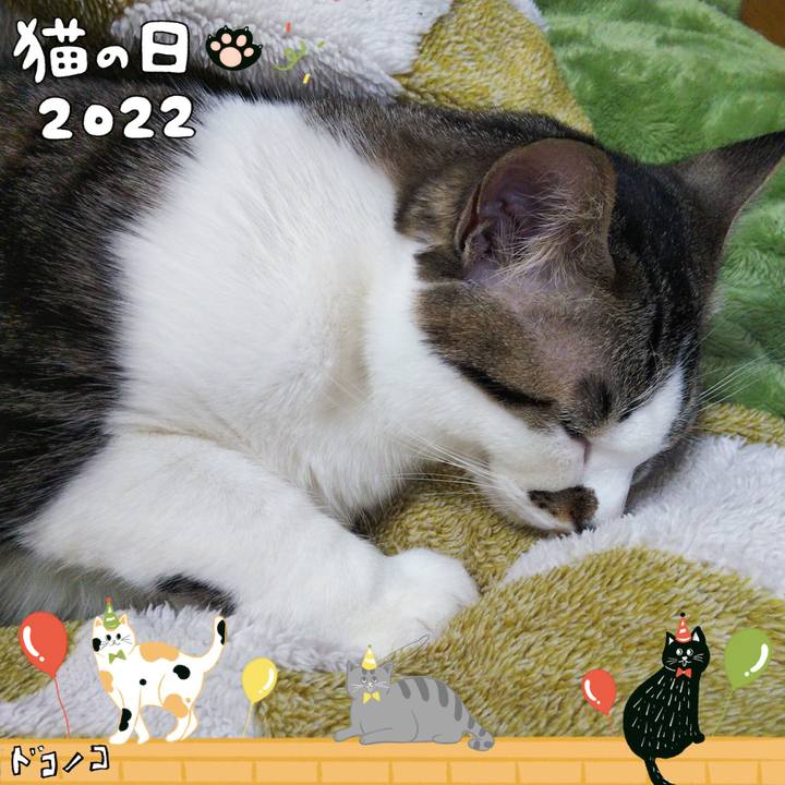 Ccfbdab3 8f9e 4104 9d61 58e1bbc95125 1645517031362