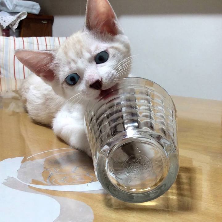 Ccfc167b 7e8c 4dfc 9ece 02effa56dea8 1603895346083