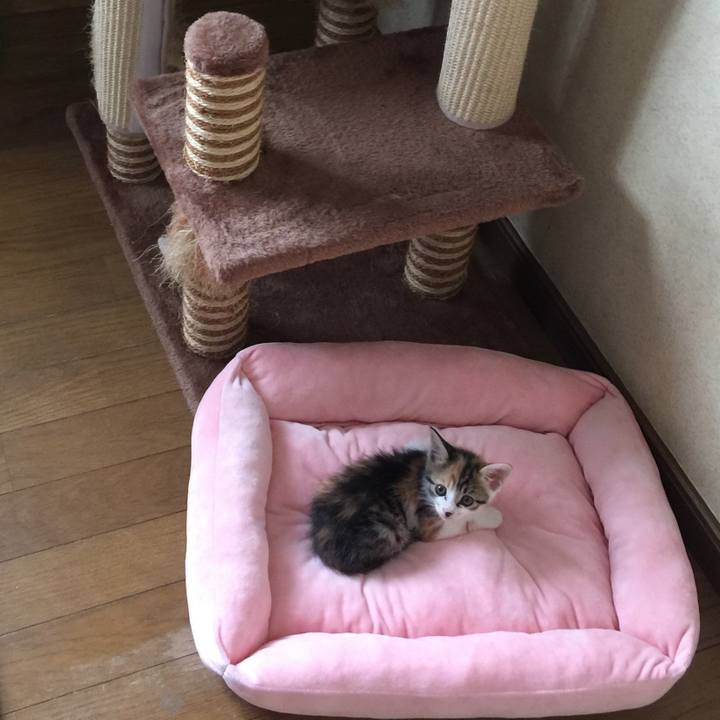 Ccfc1d08 d3b0 405d aeb5 fdfd3408b231 1628570877888