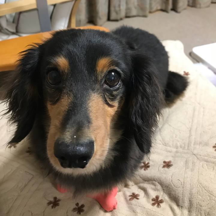 Ccfc1f54 e607 4ebe a93f f95ad6cc9b8d 1529532986071