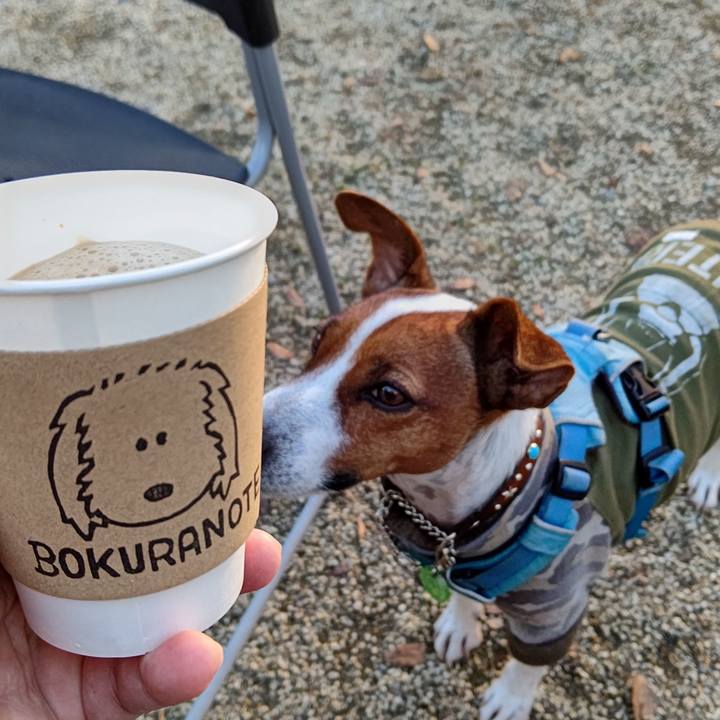 Ccfc33ea d86f 4aa6 83c0 b4e258760ba4 1636891238806