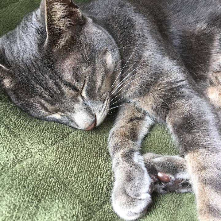 Ccfc3bfb 57d8 4f0b 8f0f 230c75094b02 1584844139324