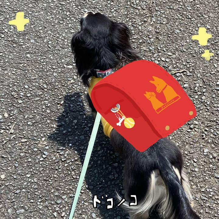 Ccfc5d72 a03c 45b8 a7e3 2601bd693114 1744516023610