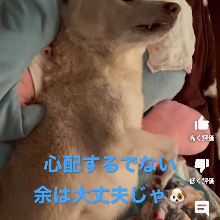 Ccfcaf18 2458 470b 95d1 0ce9e6b0550d 1678246920916