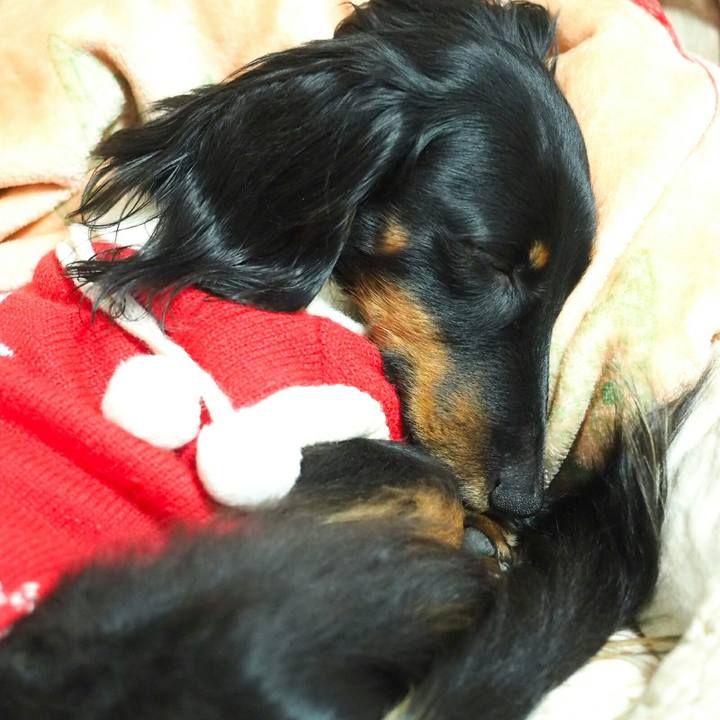 Ccfccc60 762e 447f b7fc 89537fd6452d 1514121651999