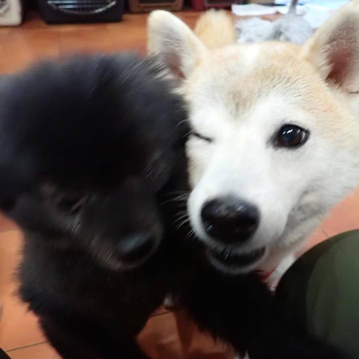 Ccfcd76d 9983 45b0 a652 a07014cbc49a 1733007917378