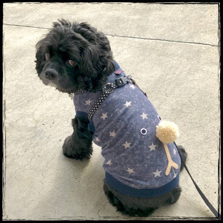 Ccfcdd0e 19f3 4f66 8c9e e9508d31dc4e 1542448744926