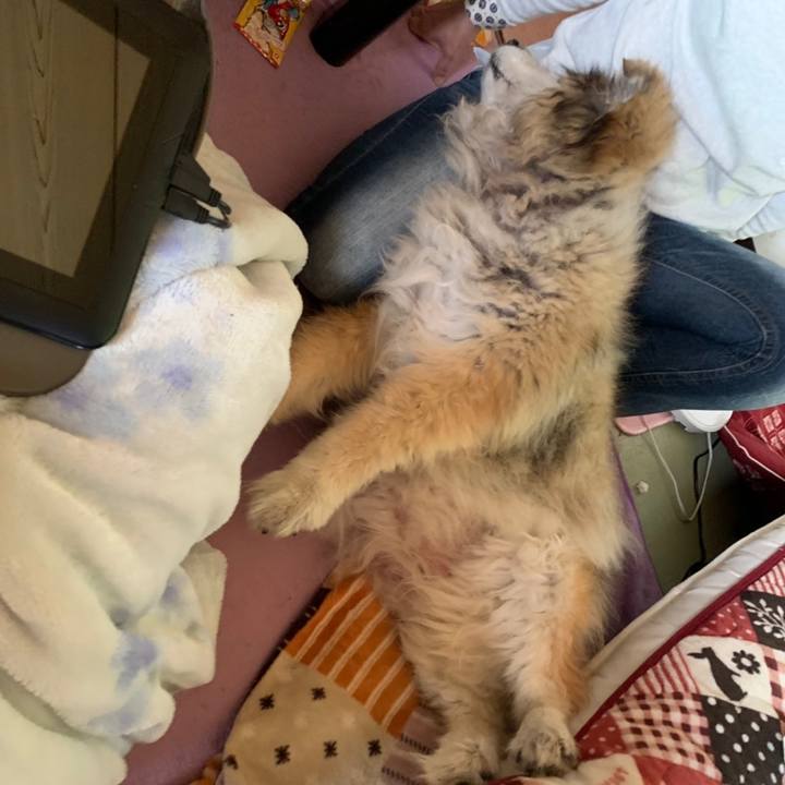 Ccfd3498 bae9 400c baa1 6cc1c1750c83 1562016535862