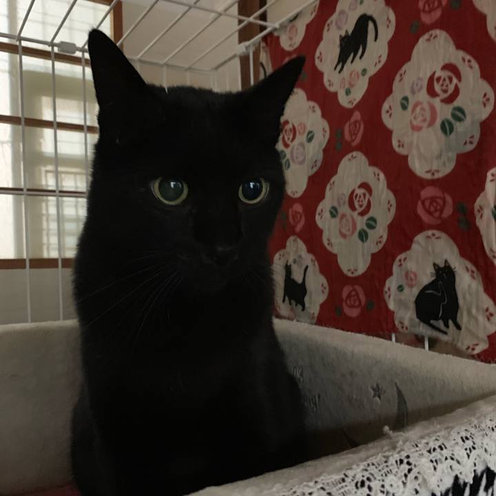 Ccfd3b94 5e54 4942 92fc 85f1ff2926df 1549415042295