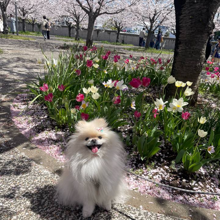 Ccfd7208 7d96 42ec bc7f c8f63b60ac0f 1712728155968