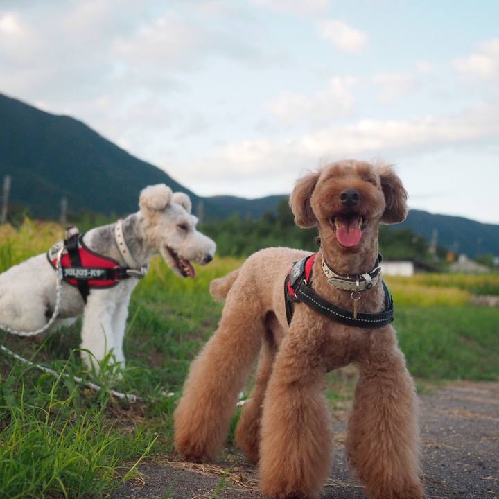 Ccfd8f48 cfed 43d4 a6e8 57fa8f5607cb 1568007221307