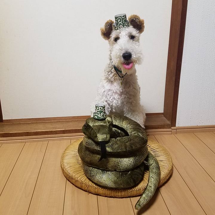 Ccfdaed5 0a85 4c1a 8e70 927a8af05b9a 1563924452905