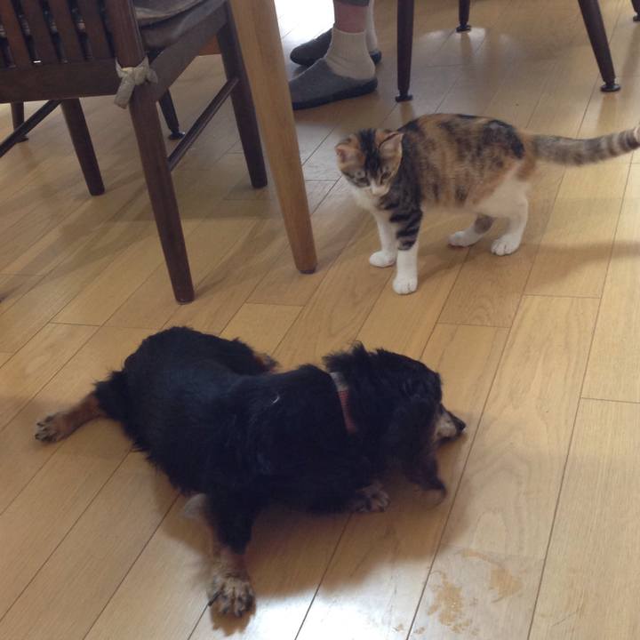 Ccfdd7d9 70b2 4f29 8806 6f0d8a18719f 1628217597895