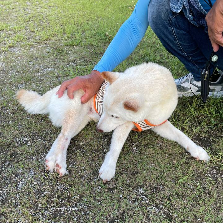 Ccfde990 5a90 4570 8e82 6e7894a61fda 1657110236911