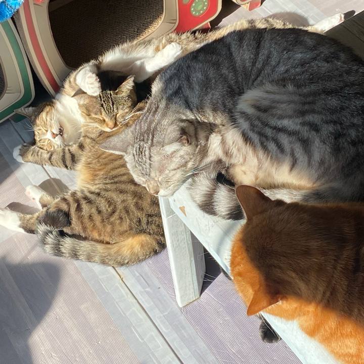 Ccfe335c 4cd0 4684 8752 215621ca15e2 1638235050353