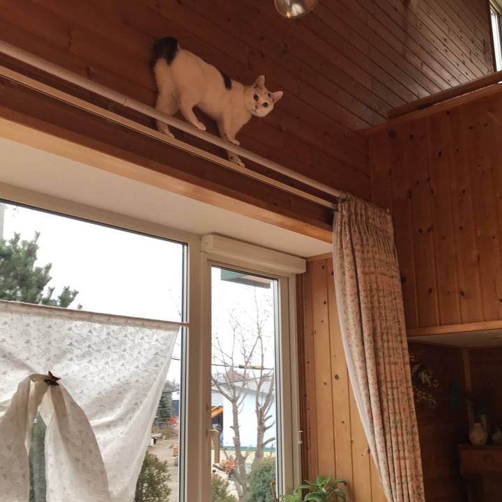 Ccfe4178 0c70 46a7 80a9 d5e083d22517 1576277970002