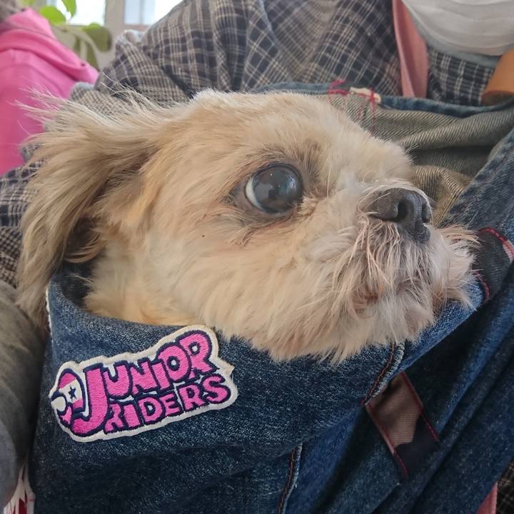 Ccfe6499 3618 4dd8 804c 510676801dd9 1636637357694