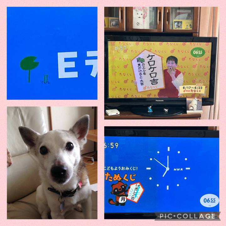 Ccfe80f5 ae0a 4b48 8bb3 ee21d9c3bafb 1718576339721