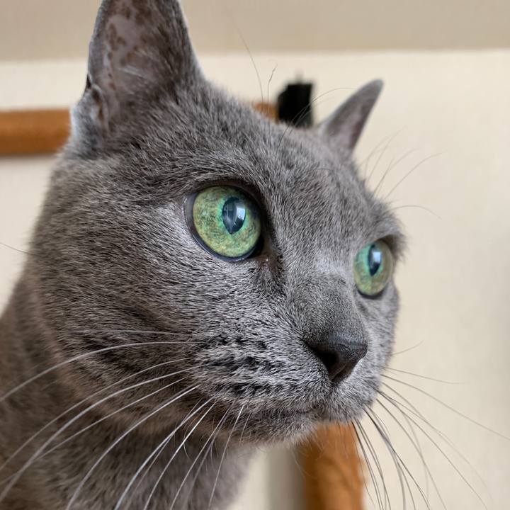 Ccfec114 106e 4839 86c3 e2eeddbf5fea 1619224741955