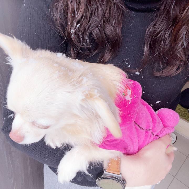 Ccff134e aa9e 47a1 9a14 c6d5103f59ea 1740988262832